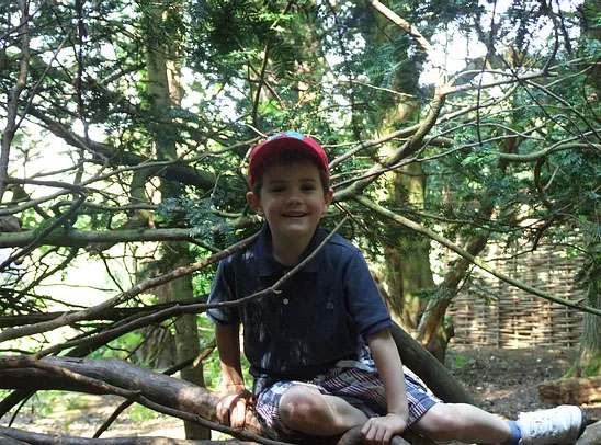 boy in tree